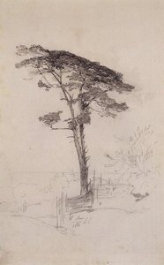 Pine — Aleksey Savrasov, Realism
