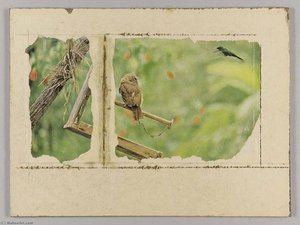 Untitled (owl On Broken Birdfeeder) — Joseph Cornell