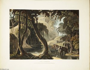 A Scene In Sitsikamma — Samuel Daniell