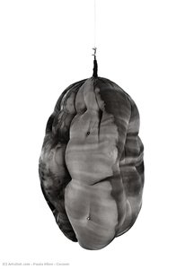 Cocoon — Paula Klien