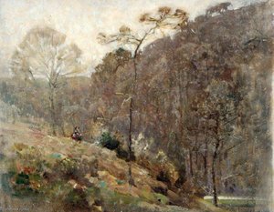 In Churchill Wood, North Devon — Benjamin Haughton