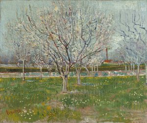 Orchard In Blossom (apricot Trees) — Vincent Willem Van Gogh, Impressionistic Landscape