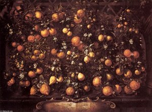 Citrus