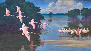 Roseate Spoonbills — Walter Alois Weber
