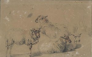 Study Of Six Sheep — Nicolaes Pietersz Berchem