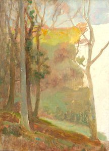 Sunlit Wood — Benjamin Haughton
