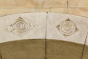 Spirals of plants