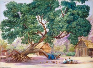 The Only Shade In Ile Aride, Seychelles — Marianne North