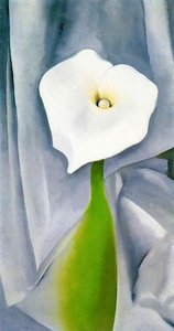 Calla Lily On Grey — Georgia O'keeffe