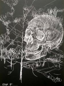 Chemtrails? — Alfred Freddy Krupa