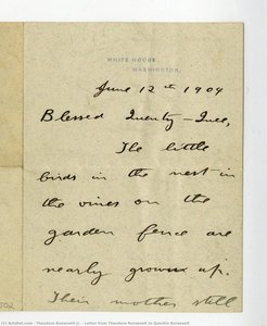 Letter From Theodore Roosevelt To Quentin Roosevelt — Theodore Roosevelt Jr.