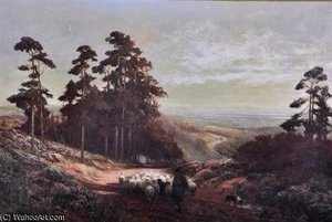 Sheep On A Winding Path, Leith Hill — Alexander Young