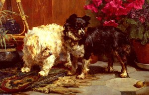 Surprise — Charles Van Den Eycken