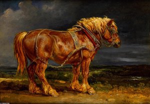 Elephant — James Ward
