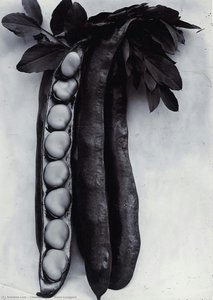 Bean Longpod — Charles Jones