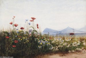 Poppies, Cornflowers And Daisies On Killiney Hill; Killiney Bay, Bray Head And The Sugar Loaf Mountain In The Distance — Andrew Nicholl