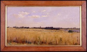 Champ De Blé — Pierre-emmanuel Damoye