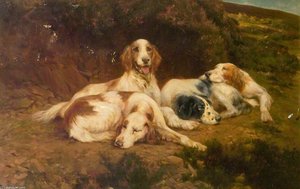 After A Days' Sport — Thomas Blinks