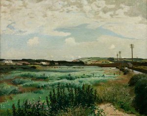 Marazion Marsh — Харолд Харви