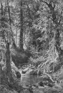Forest Stream — Ivan Ivanovich Shishkin