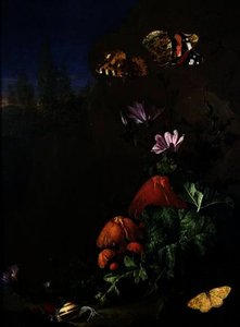 Still Life Of Forest Floor With Flowers, Mushrooms And Snails — Elias Van Den Broeck