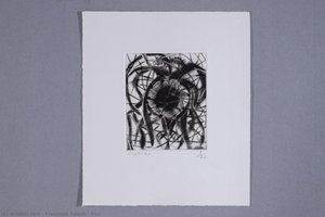 Flor — Francisco Toledo