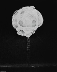 Atomic Bomb Explosion — Harold E Edgerton