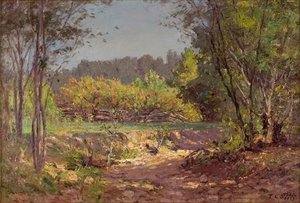 Landscape 11 — Theodore Clement Steele