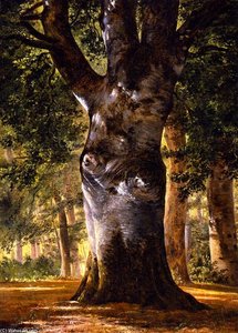 Trunk Of A Beech Tree — Alexandre Calame