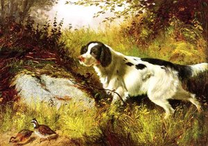 Dog And Quail — Arthur Fitzwilliam Tait