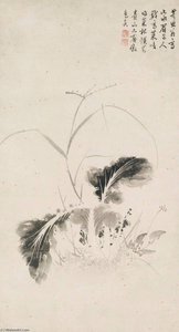 Cabbage — Chen Jiru