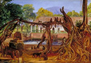 Blauwater, Pasoeroewan, Java — Marianne North