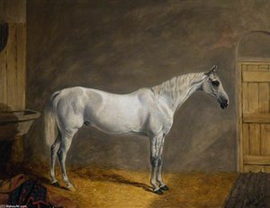 'time Keeper', The Charger Of W. H. Kennedy-erskine — Alfred Wheeler