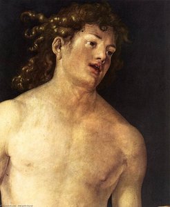 Adam (detail) — Albrecht Dürer