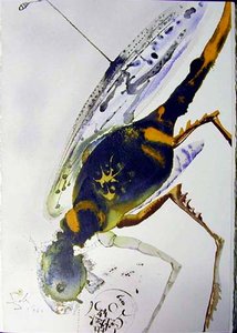 Locusta Et Bruchus — Salvador Dalí