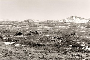 Autolandscape, Nevada — Elaine Mayes