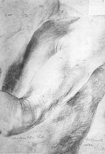 Upper Arm Study — Matthias Grünewald