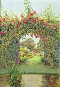 Crimson Rambler — Ernest Arthur Rowe
