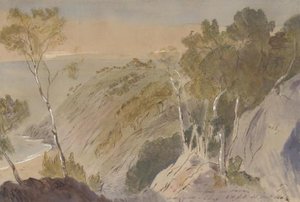View Of A Pine Forest Near Invrea, Italy — Edward Lear
