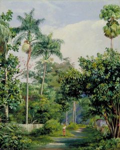 Road Near Bath, Jamaica, With Cabbage Palms, Bread Fruit, Cocoa And Coral Trees — Marianne North, Victorian Naturalism