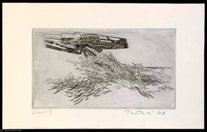 The Sea Shines, State 3 (center Plate Only), From The Portfolio A Genesis — Gabor Peterdi