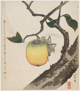 Grasshopper And Persimmon — Katsushika Hokusai