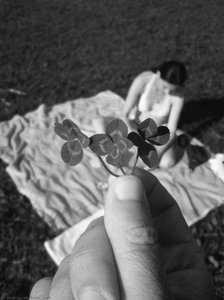 Luck — Alfred Freddy Krupa