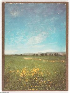 Untitled (field Of Green Grass And Yellow Flowers) — Joseph Cornell