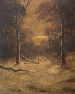 Woodland Scene