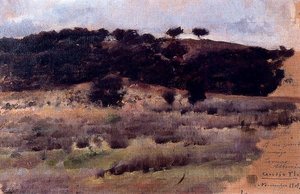 Paisaje — Cecilio Pla Y Gallardo