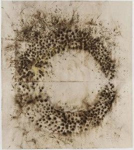 Drawing For Transient Rainbow — Cai Guo-qiang