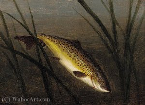 A Trout On A Line; And A Trout Leaping — A. Roland Knight