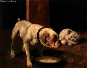 A Bulldog with White Persian Cat