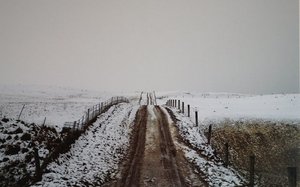 Winter Road, Becks — Grahame Sydney
